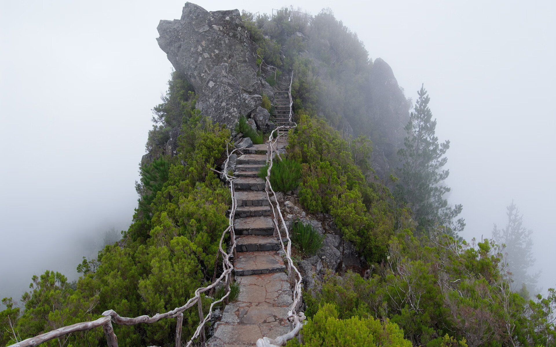 世界登山青年导师国际交流营成果手册对外发行,国际登山技术手册